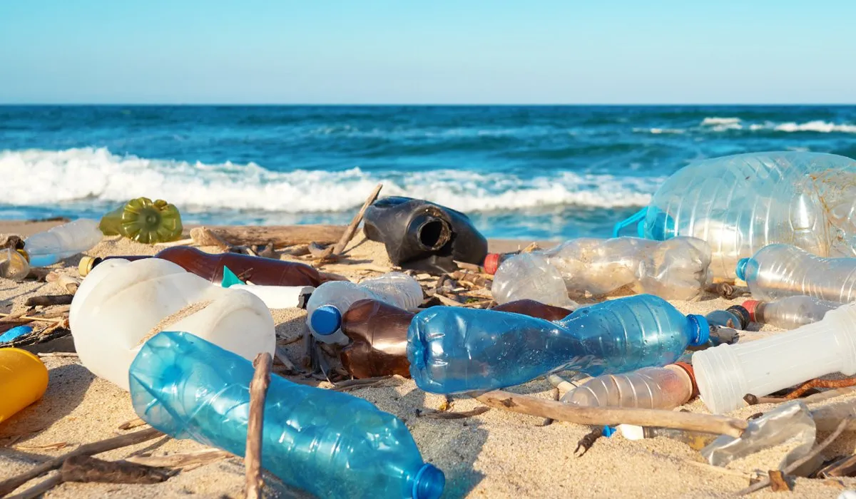 Déchets sur une plage