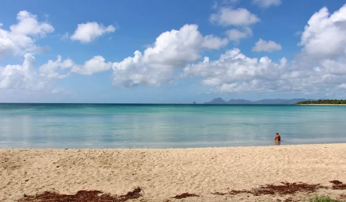 Plage de la Grande Anse des Salines Plage de la Grande Anse des Salines