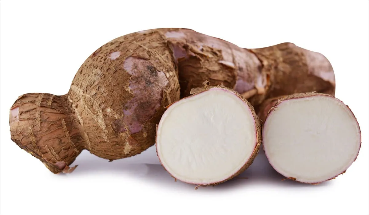 Tubercules de manioc Tubercules de manioc